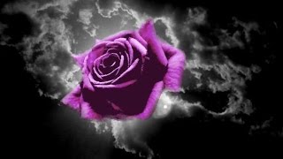 Biagio Antonacci L' Amore Comporta  ღ ღ L'Amore Sopra Ogni Cosa ღ ღ