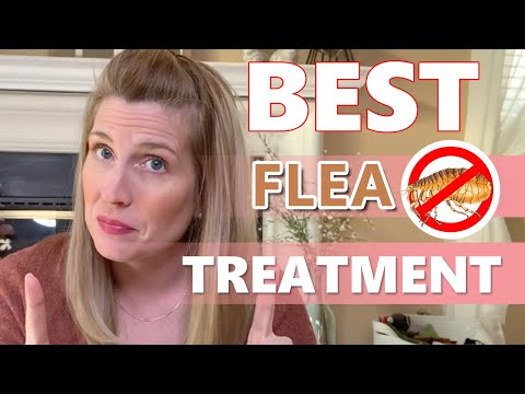 Best Flea Treatment For Dogs and Cats 🐶🐱