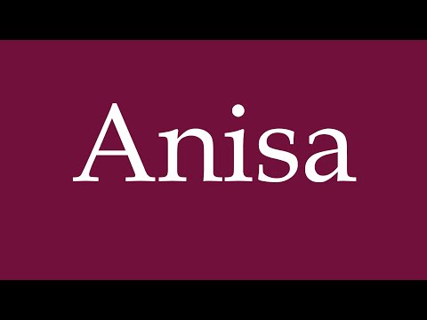 How to Pronounce ''Anisa'' Correctly in German