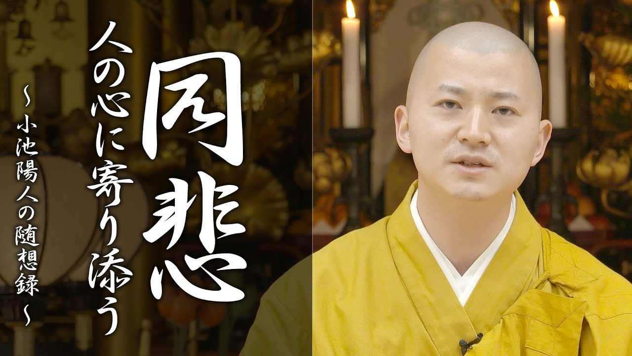 法話：同悲の心　～人の心に寄り添う～#法話 #小池陽人の随想録 #仏教 #教え