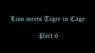 LION MEETS TIGER IN CAGE - PART 6  SIZE  (EPISODE 