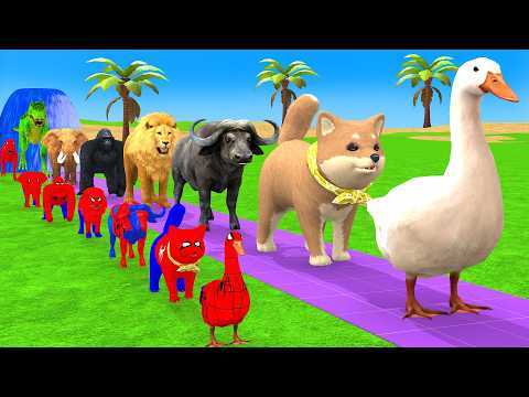 Long Slide Game with Cow Elephant Gorilla Hippopotamus Tiger 3d Animal Game Funny 3d Animals