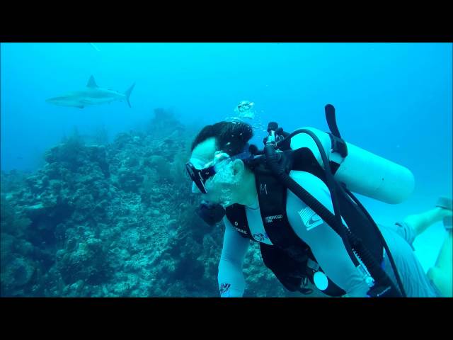 Shark Attacks GoPro Scuba Diving Belize Lighthouse Reef