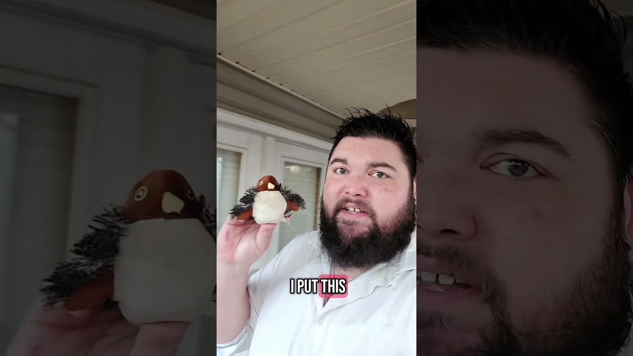 Flappy Bird Cat Toy | USB Rechargeable Fun for Happy Cats #CatToy #CatLovers