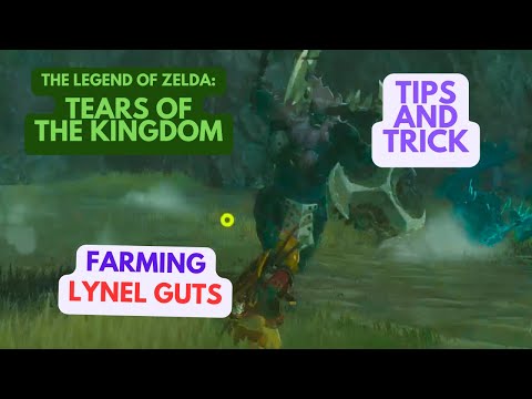 HOW TO GET LYNEL GUTS WITH RIGHT METHOD IN GUIDE PUZZLE ZELDA TOTK OK