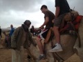 Broken Camel