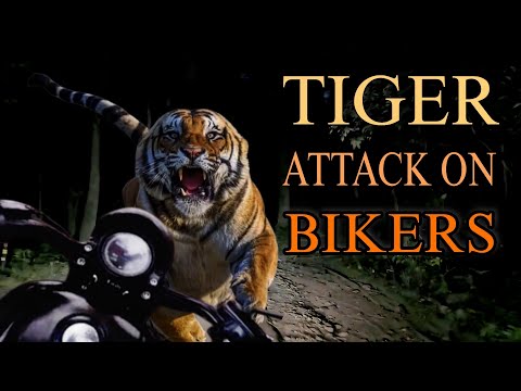 "MANEATERS of MOHAAN" Part -2 Jim Corbett National Park #tiger #attack #story
