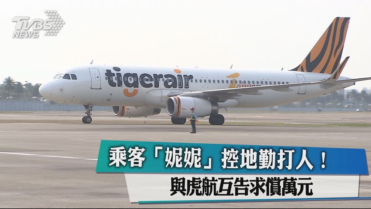 控地勤打人! 乘客「妮妮」虎航互告求償萬元