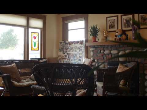 MontageTV Episode 2 Peace of Mind Dog Rescue