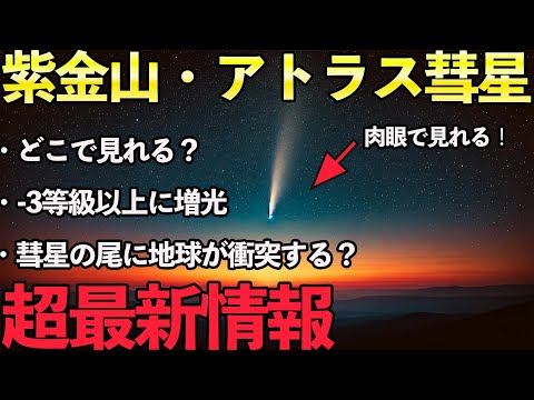 太陽に向かう彗星: 地球から見ることができます