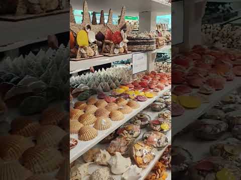 compras em caldas novas go