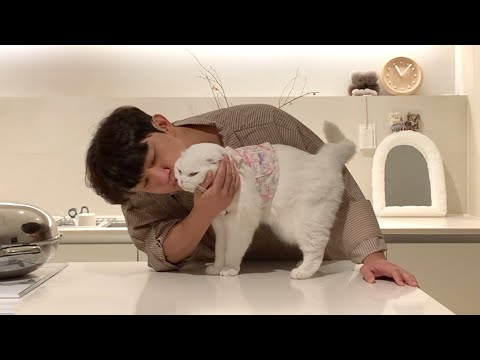 하루종일 고양이한테 뽀뽀했더니