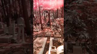 Panteón Dolores. Sopor Aeternus - Tales From the Inverted Womb.