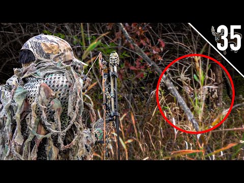 Full Draw on BIG BUCK at 10 YARDS!