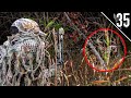 Full Draw On BIG BUCK At 10 YARDS