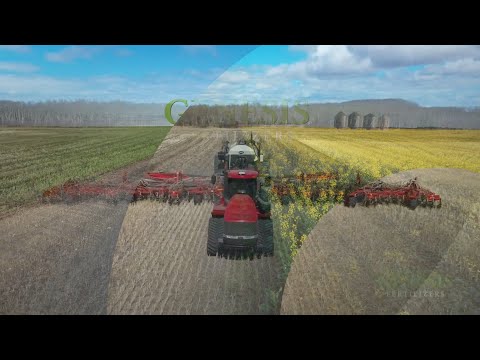 Genesis Feed Phase Underway