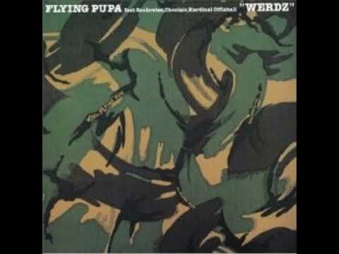 Flying Pupa - Unmentionable