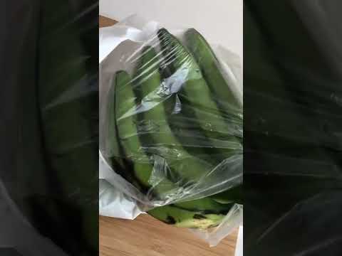 Different plants in Uganda and Danmark