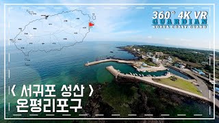 온평리포구