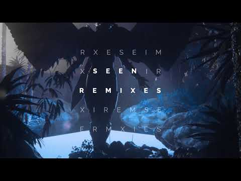 Anikdote & The FifthGuys – Seen (ft. Veronica Bravo) [Thatsimo Remix]