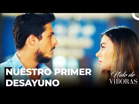 Nagme Cocina Para Ejder  - Nido De Víboras Capitulo 12 (Dobladas en Español)