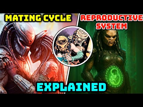 Predator's (Yautja) Unique Mating Cycle And Reproductive System - Explained