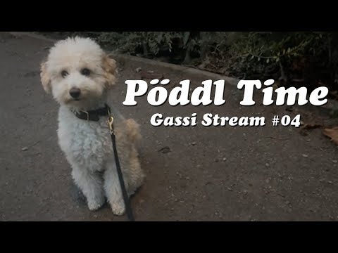 Pöddl Time! - Gassi Stream mit Mon #4
