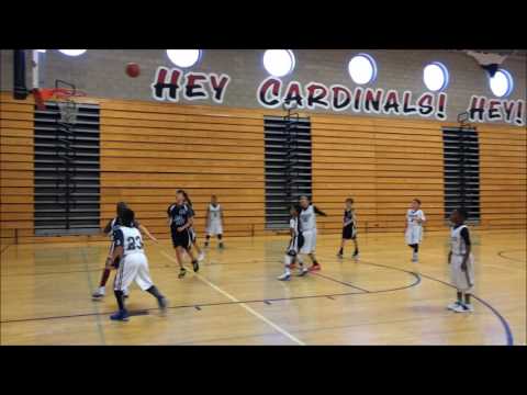 Jr Live Period Championships 9U Tournament 2017