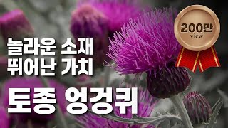 [황금나침반] 한국의 산야초! 엉겅퀴 세계화 / YTN 사이언스