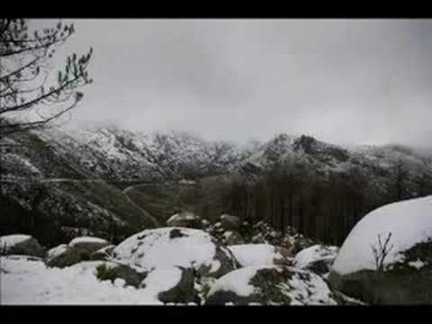 Tristão da Silva - Canção de Viseu