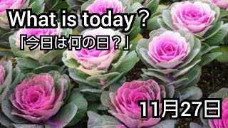 【What is today?】今日は何の日?(1127)|YouTube掲示板《ヒントストック》