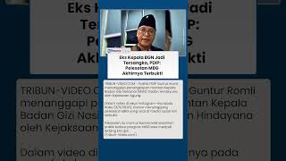 PDIP Buka Suara soal Tersangka Korupsi Eks Kepala BGN, MBG jadi Sorotan