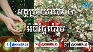 អត្ថប្រយោជន៍ ៤ អំពីផ្លែប៉ោម | Apple | Health