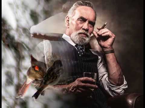 Pohoda vánoc / Petr Spálený.