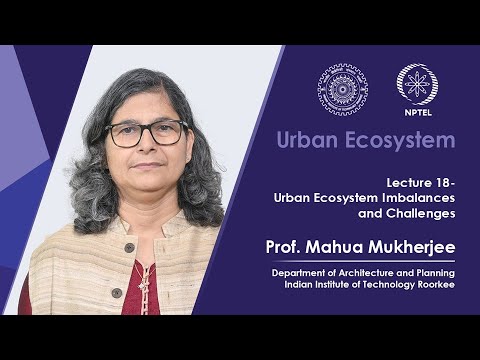 Lecture 18: Urban Ecosystem Imbalances and Challenges