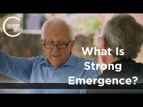 George F. R. Ellis - What Is Strong Emergence?