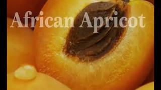 Baron Von Eissman's- Flavours of the world Ice cream