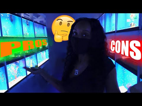 Salt Water Fish Tank VS Fresh Water Fish Tank