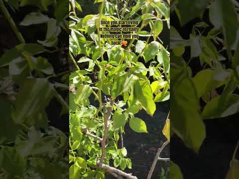 Comfort Zone:Danger Zone. Survival Mode disengaged. Live today presently, like it could be the last!