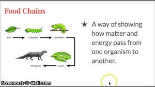 Matter and Energy Flow Video