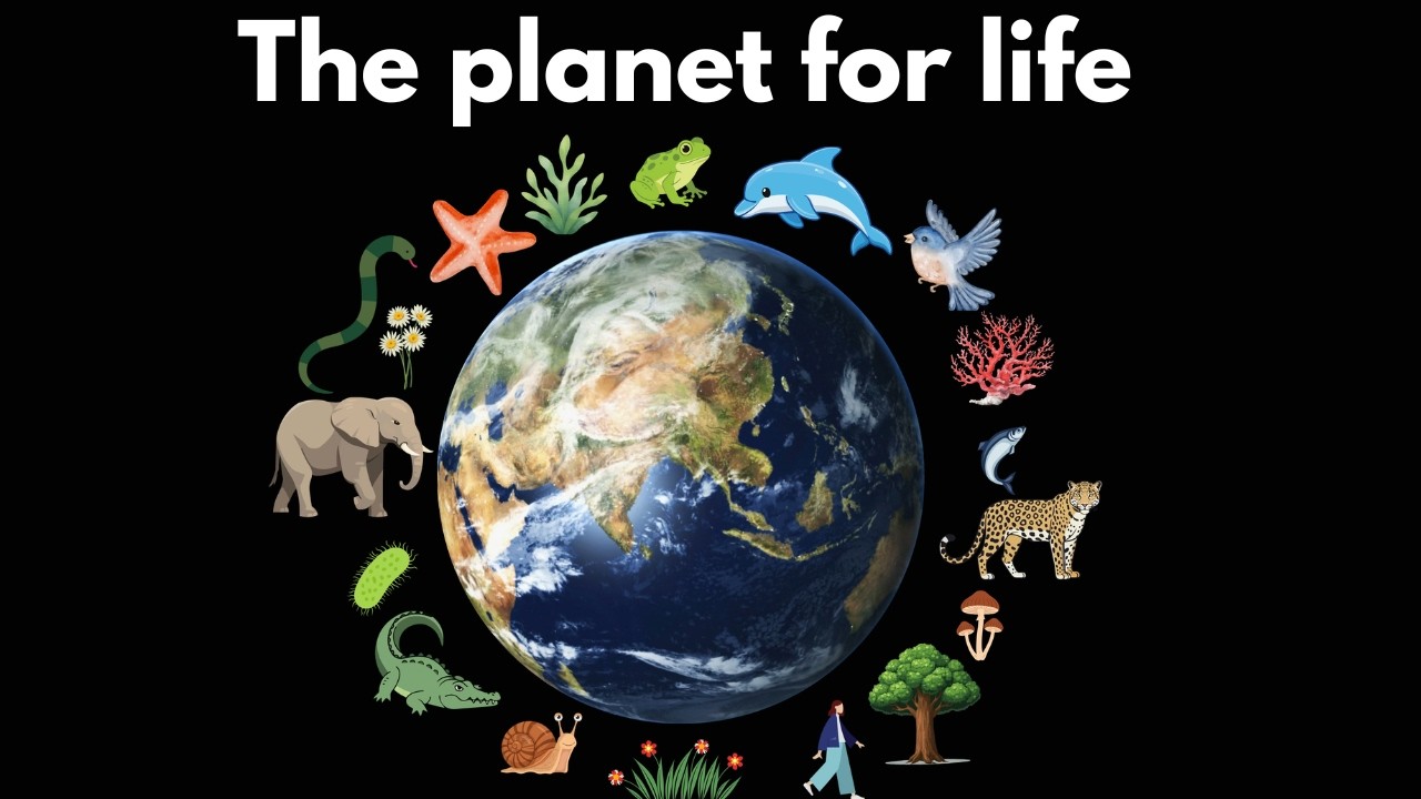 Earth as the planet for life | Middle school Earth and space science | Khan Academy