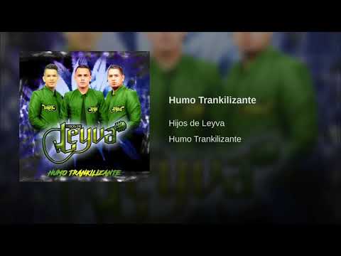 Humo tranquilizante - Hijos de Leyva (Video Official)