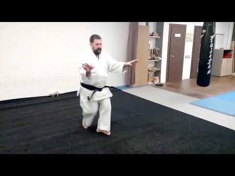 Kata Hakucho(white crane Hakutsuru) Mabuni ha Shito ryu