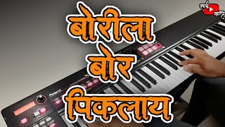 Download lagu बोरीला बोर पिकलाय | Borila Bor | Piano Cover | Sai Mhatre mp3