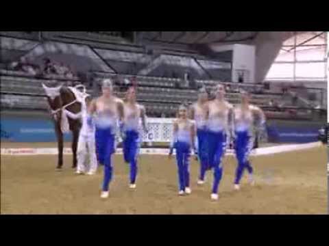 CVI Doha 2014 - Team Harlekin - Free Style Round2 - Swiss Vaulters