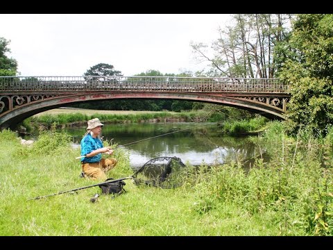 Ray Walton - HAMPSHIRE AVON, ELLINGHAM, HAMPSHIRE
