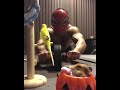 スパイダーマンローリングハムインコスペシャルアブローラー