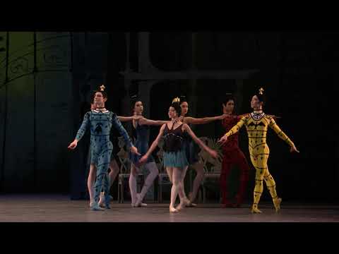 MacMillan Celebrated: Danses concertantes | Different Drummer | Requiem (The Royal Ballet)
