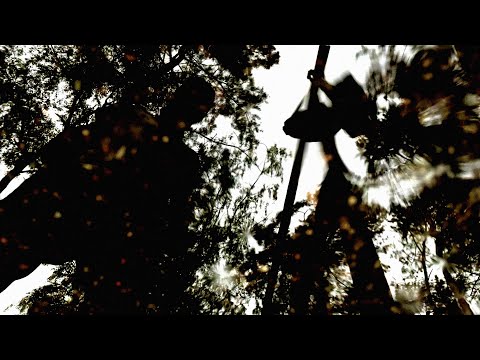 młody100 - ZA WYSOKO (Official Video)