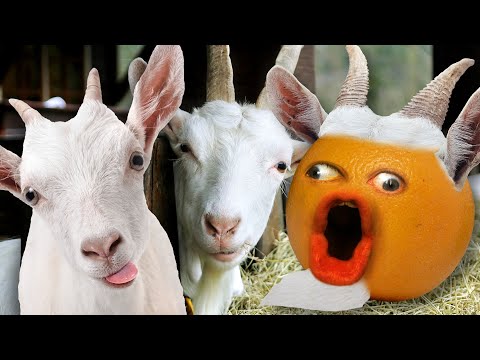 惱人的橙色 - 故事時間。3個比利山羊的故事! (Annoying Orange - Storytime: The 3 Billy Goats Gruff!)